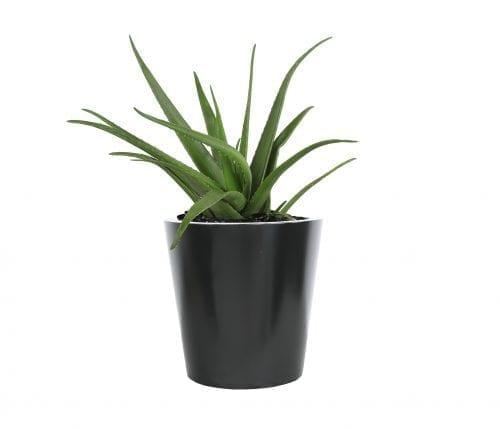 York 24″ Round Medium Planter