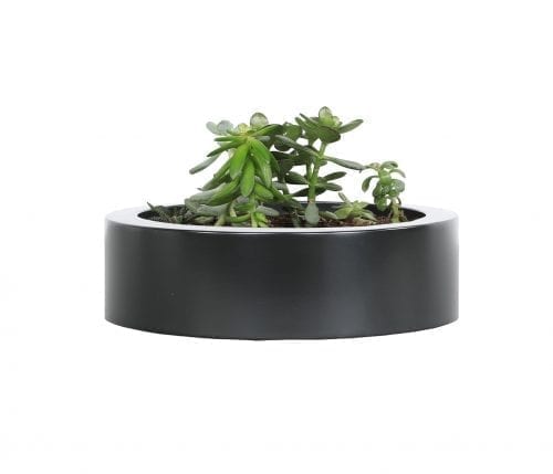 York Low 12″ Round Small Planter