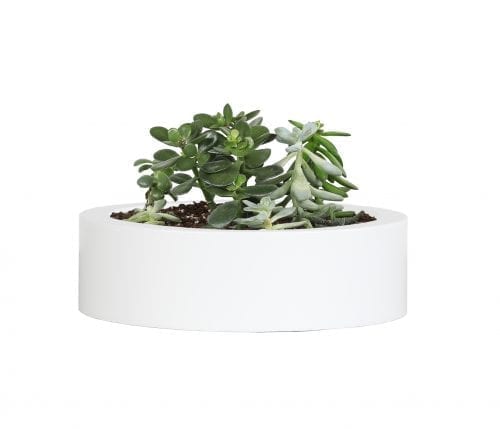 York Low 12″ Round Small Planter