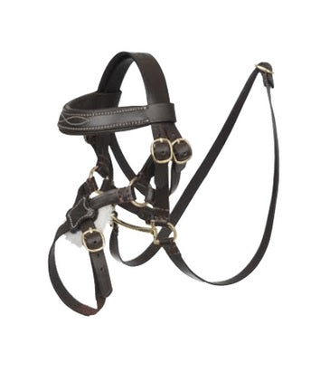 Toy Pony Grackle Bridle Brown – Abacus Furniture Design