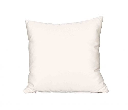 Outdoor Pillows : 22″ x 22″ Pillow